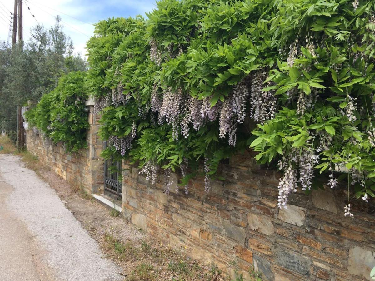 Villa Liana Sourpi ภายนอก รูปภาพ