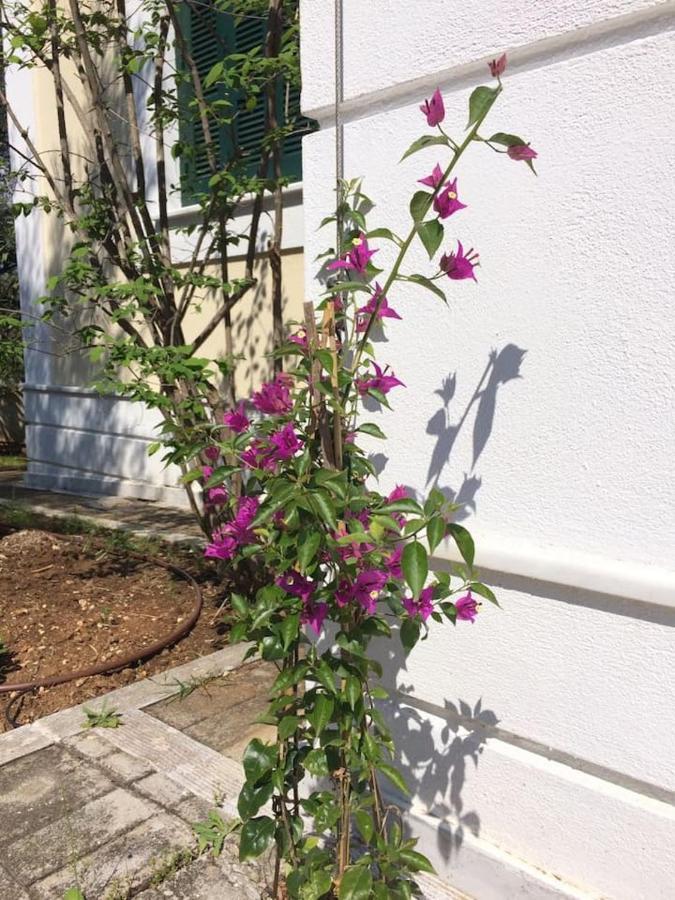 Villa Liana Sourpi ภายนอก รูปภาพ